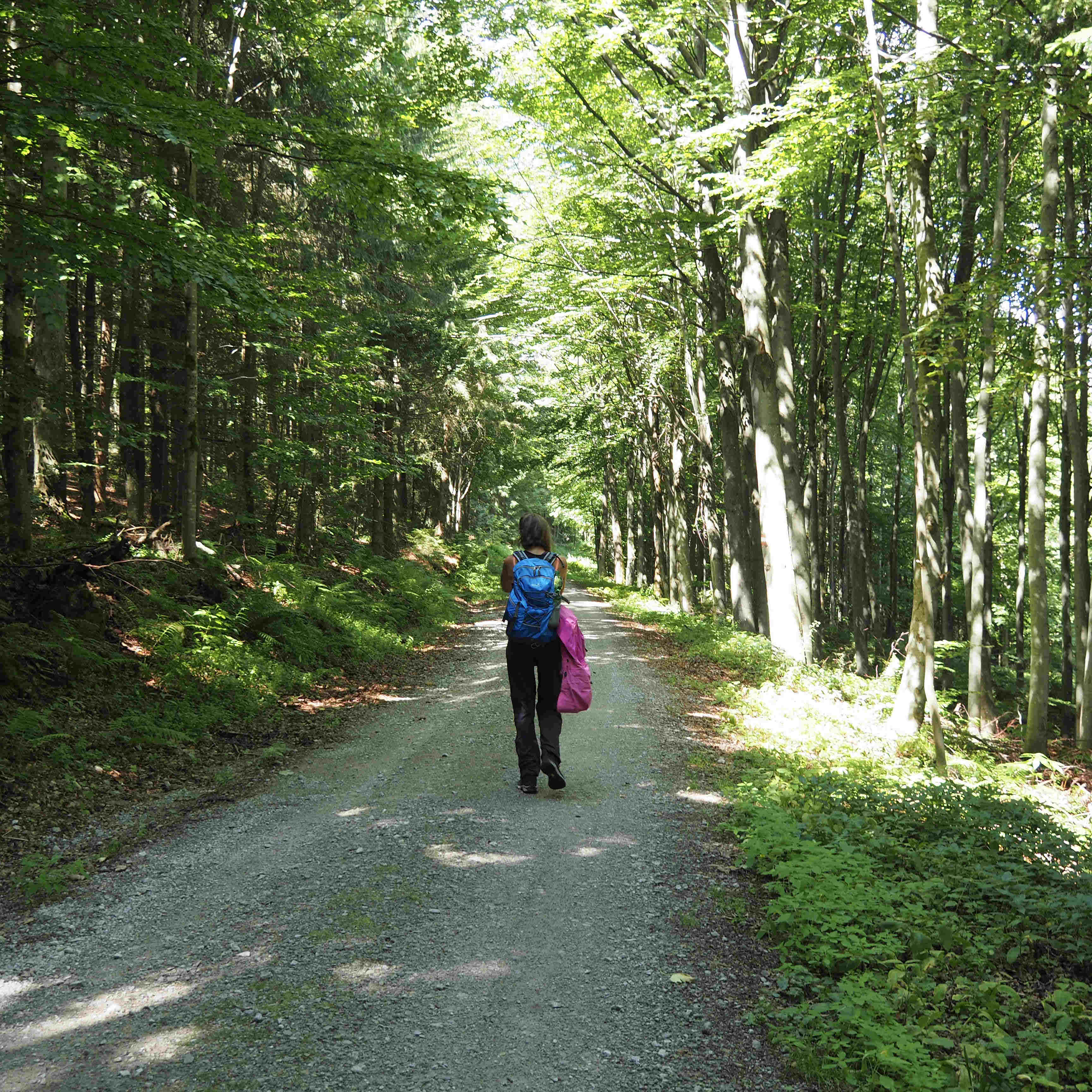 girl walking in the wood